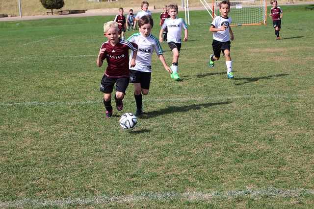 生理特征 生理特征