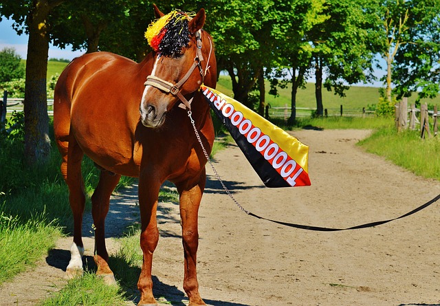 分的背后 分的背后