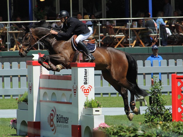 全面胜利彰 全面胜利彰