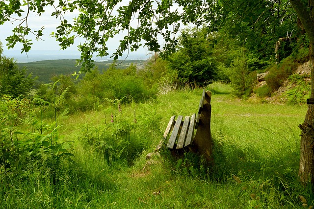 年轻选手李 年轻选手李